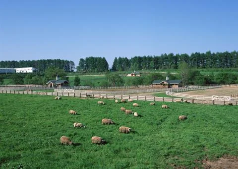 Ranch Stock Photos