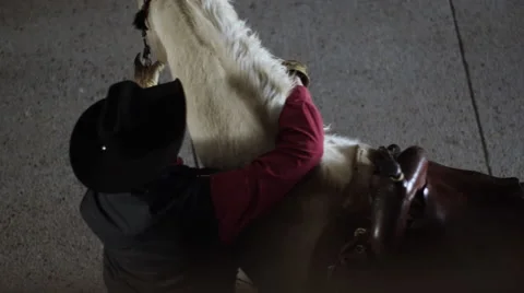 Rancher adjusting saddle on horseback Stock Footage 68499367