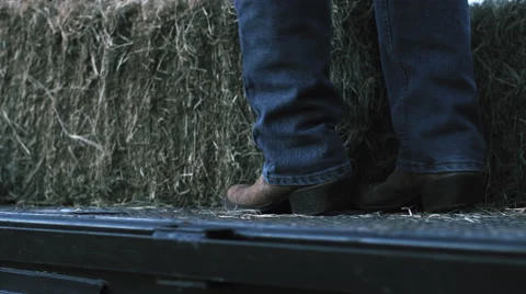 Rancher loading hay bale onto pick-up truck Stock Footage 68498144