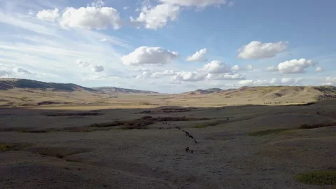 Ranchers in the Badlands Vídeos de archivo 200504805
