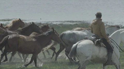 Ranchers guide the mares and their foals through the Doñana marshes. Stock-Footage 129184273