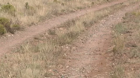 Rancher's Road Stock Footage 881170