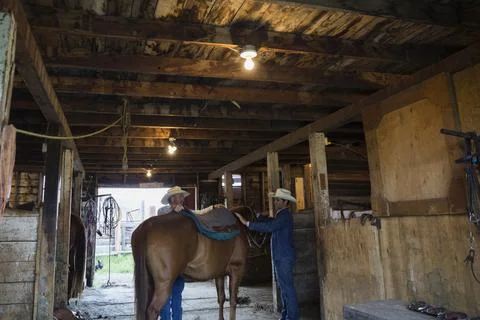 Ranchers tacking up horse in barn Stock Photos