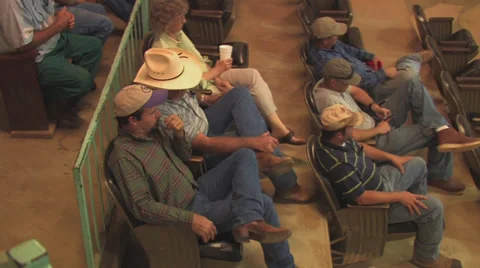 Ranchers watch cattle auction Stock Footage 31989861