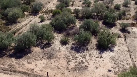 Rancho Sonora - 03 Stock Footage 80537466