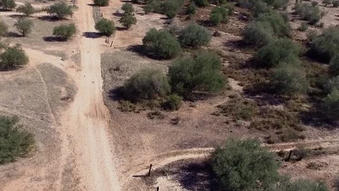 Rancho Sonora -  04 Stock-Footage 80537457