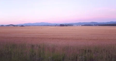 RanchRoad1 4K@23.976 Stock Footage 74034591