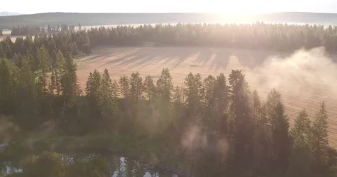 RanchRoad7 4K@23.976 Stock Footage 74035124