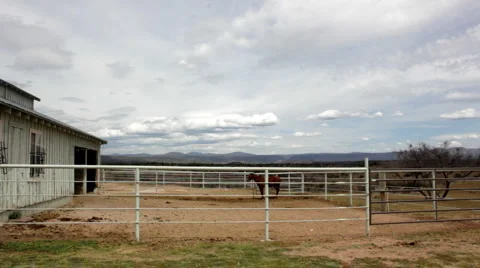 Ranchscape Horse in Background HD 30P 5s Vídeo Stock 4735401