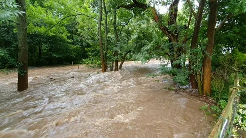 Randal Carr brook (small stream or creek) Whaley Bridge  in full flood Stock Footage 123545483