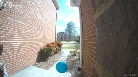 Random Blue Balloon Pays a Visit to Front Door, usa Stock Footage 205422370