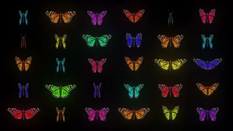 Random Color Blinking Butterflies insects pattern 4K Video Art VJ Loop Stock Footage 124988983