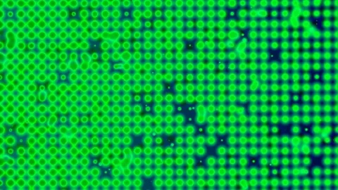 Random Dot Burst Motion Graphic Stock Footage 316656978