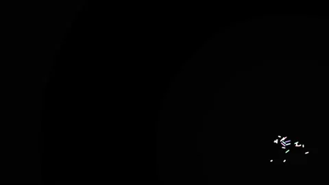 Random Firefly Shapes Fairies Insects Bouncing Flitting Flying Around Frame Stock Footage 143910409