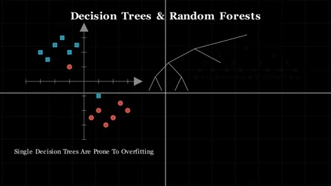 Random Forest Algorithm Stock-Footage 338271286