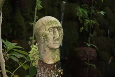 Random Head in Woods Stock Photos