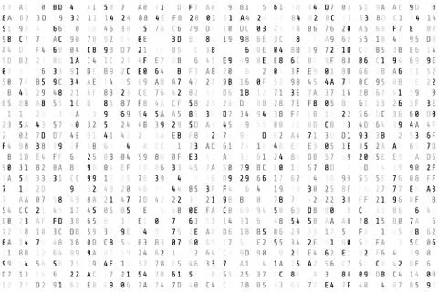 Random  hex code stream. Matrix background. Vector illustration isolated on w 스톡 일러스트
