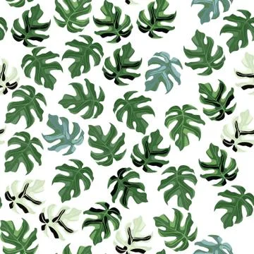 Random isolated seamless monstera leaf pattern. Little green botanic ornament Stock Illustration