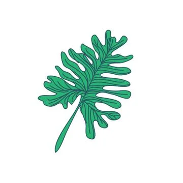 Random Lobed Tropical Leaf Hand Drawn Illustration Stock Illustration