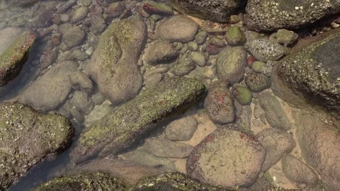 Random motion of pure water between textured wave-cut stones. Stock Footage 69824488