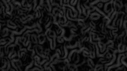 Random noisy, fluctuating, separated stripe curves 스톡 동영상 147097123