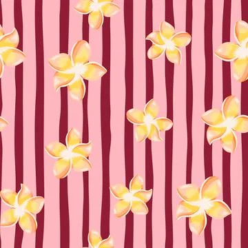 Random plumeria flower seamless pattern on stripe background. Exotic tropical Illustration