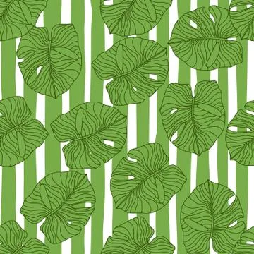 Random seamless botanic pattern with green outline monstera leaves silhouette Stock Illustration
