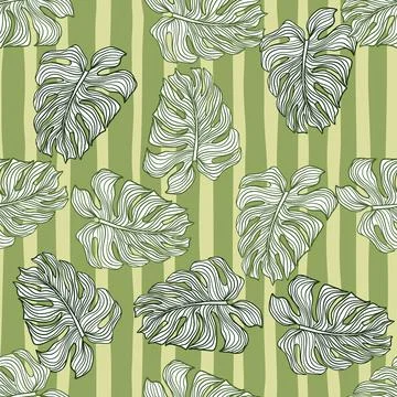 Random seamless pattern with outline monstera elements. Green striped backgro イラスト素材