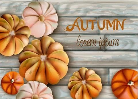Random size pumpkins with Autumn text Stock Illustration