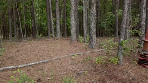 A random stack of weathered old orange traffic cones abandoned Vídeos de archivo 132607385