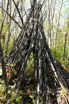 A random structure of logs put into a teepee form Stock Photos