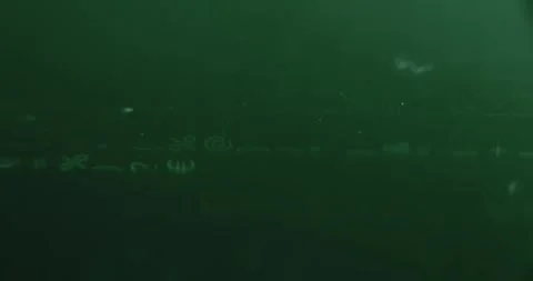 Random symbols falling as code rain, vertical shooting Stock Footage 313424312