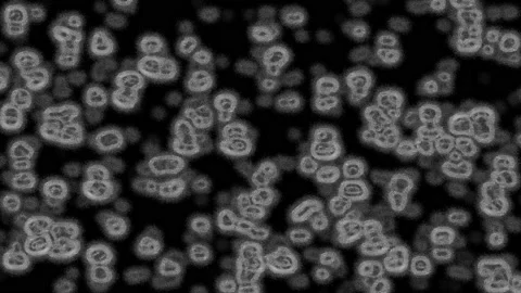 Random twin-cell-like, fluctuating, noisy animation 스톡 동영상 147093018