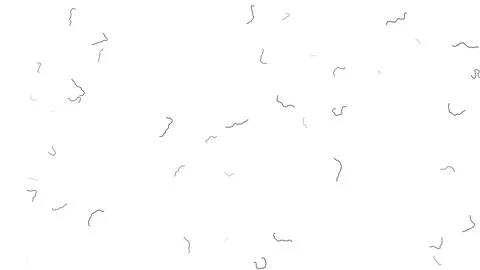 Random Walk Algorithm Scribble Frame Partial Filling Animation Stock Footage 118984147