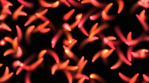Random Worm Wormy Shapes Flowing Parasites Towards Viewer Stock Footage 153961056