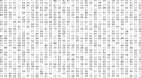 Randome code running Video stock 65764373