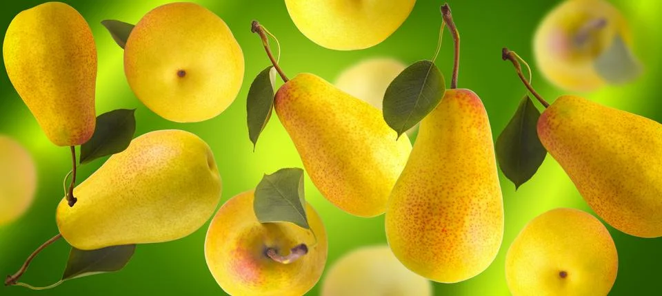 Randomly falling pears. Pears on a green background in different positions Stock Photos