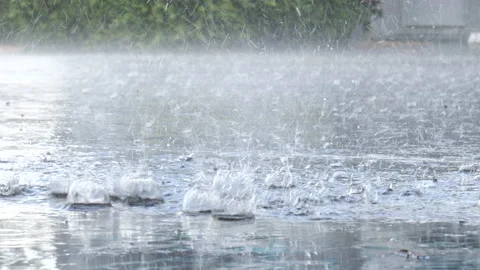 Randrops Pelt Pavement Stock Footage 201219073