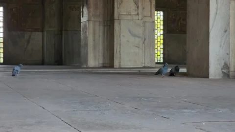 Rang Mahal RED FORT Stock Footage 232385185