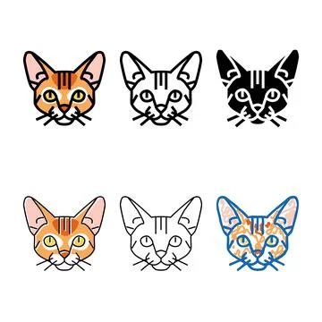 Range abyssinian cat cute pet color icon vector Stock Illustration