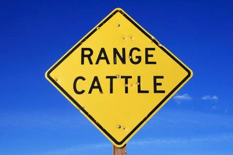 Range cattle sign Photos