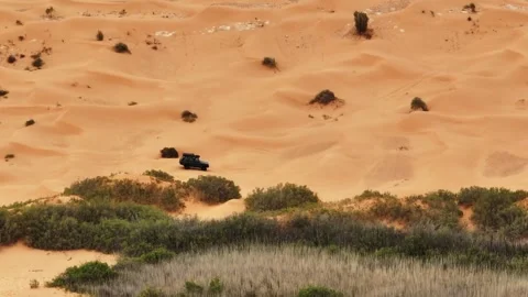 Range Rover Classic driving near a desert oasis at sunset. 動画素材 335444788