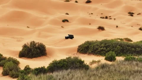 Range Rover Classic navigating through the lush vegetation of a Sahara oasis. 動画素材 335444071