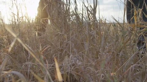 Ranger and Tracker Walking Through Long Grass - Slow Motion Stock Footage 55656421