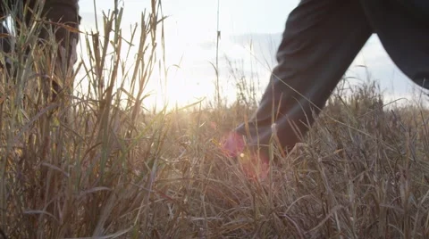 Ranger and Tracker Walking Through Long Grass - Slow Motion Stock Footage 55658140