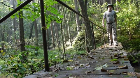 Ranger on a bridge in the forest Stock Footage 41832102