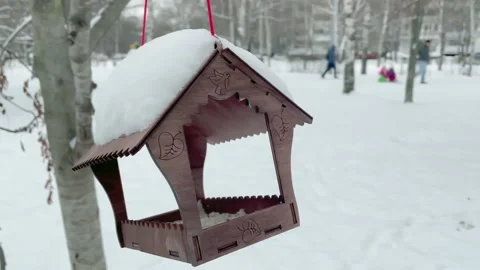 Рanging bird feeder on a bright winter day in the city park. Stock Footage 221631257