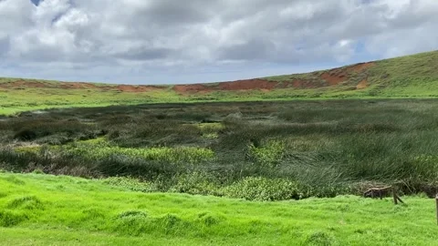 Rano Raraku volcano crater in Easter Island Vídeo Stock 342838784