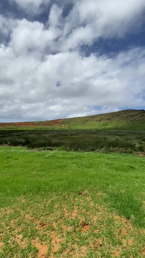 Rano Raraku volcano crater in Easter Island Vídeo Stock 342838790