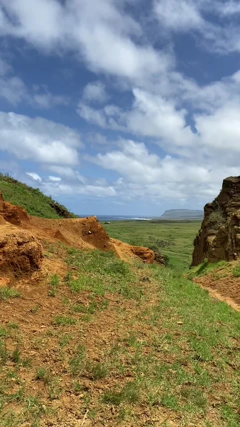 Rano Raraku volcano path in Easter Island Vídeos de archivo 342838788